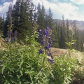 Baker Gulch Trail